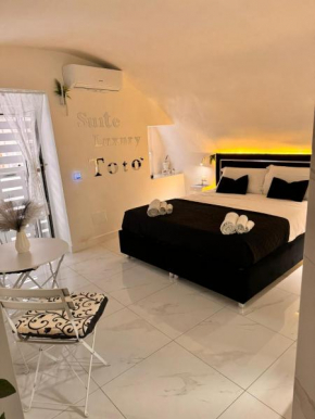 House Luxury Toto